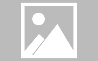 临邑肇庆教育网站建设（肇庆市教育平台登录入口）